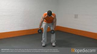 Alternate Bent Over Dumbbell Reverse Fly Update