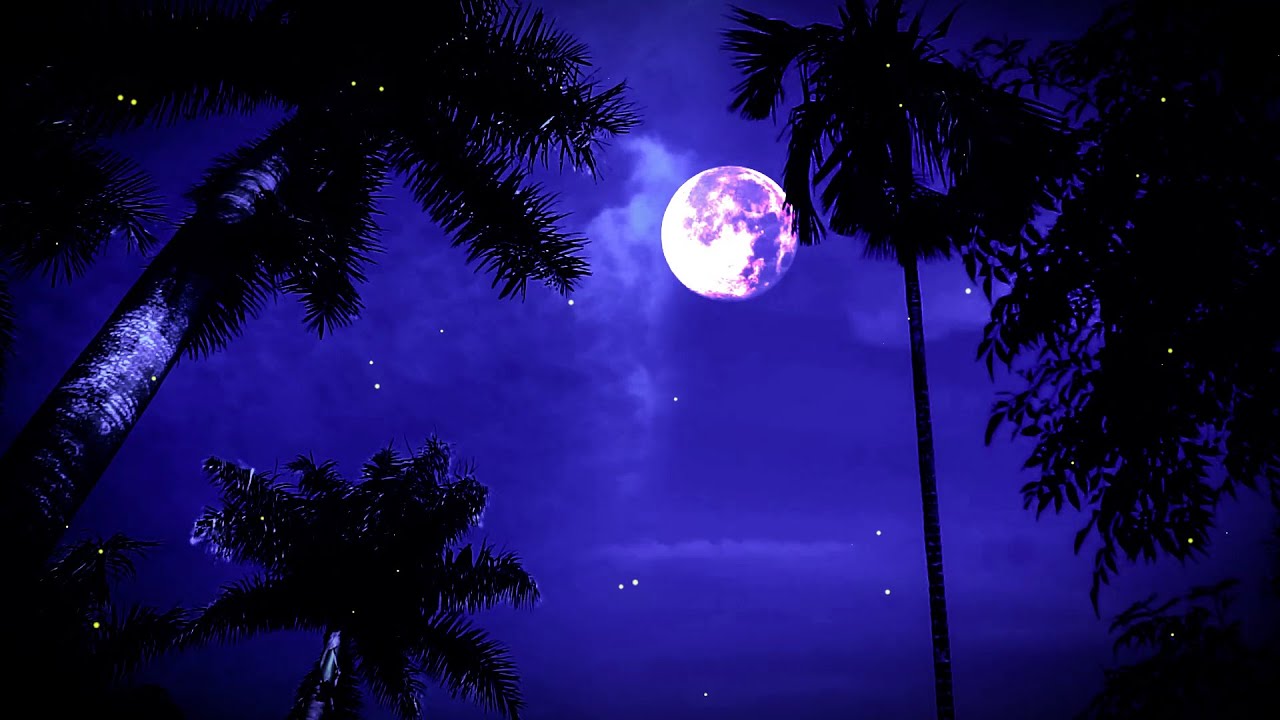 夏の夜の音 - 夜のコオロギとカエルの鳴き声 | リラックスできる夜の雰囲気 | 自然のホワイトノイズ - YouTube
