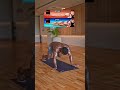 Upper body-workout routine 10x5 #viral #reels