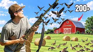 We Went GOOSE HUNTING in THE FARMERS PASTURE (LOADED)