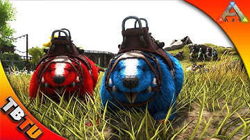 Ark: survival Evolved Mutation Zoo E10 - CASTOROIDES BREEDING AND COLOR MUTATIONS!