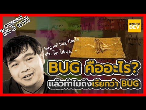 วีดีโอ: การทดสอบซอฟต์แวร์และการดีบักคืออะไร