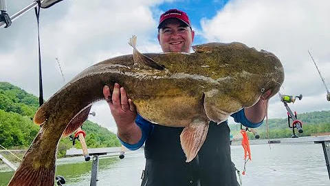 Heavy  Cover Flathead Catfish