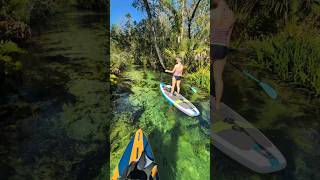 The Emerald Cut - Relax For A Minute - Paddle Board Rock Springs Florida
