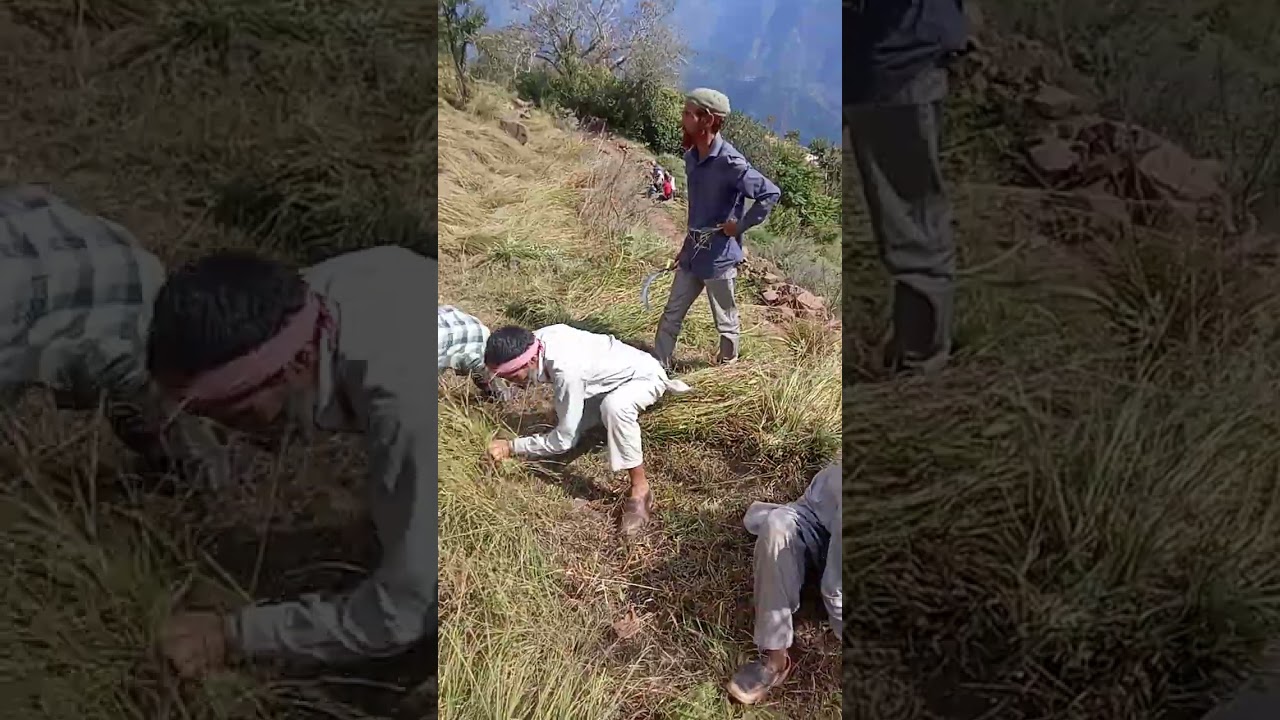 Like and share karna 