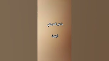 #ماهر_المعيقلي #سورة_البقرة #آية_الكرسي #القرآن_الكريم #اكسبلور#مصر #love #العراق #الجزائر #السعودية