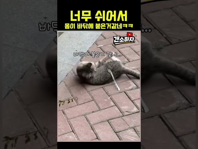 껌씹다가 자면...ㅋㅋㅋㅋㅋ