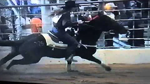 Buggy Full Of Money winning the consolation round ...