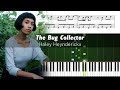 Haley Heynderickx - The Bug Collector - Piano Tutorial with Sheet Music