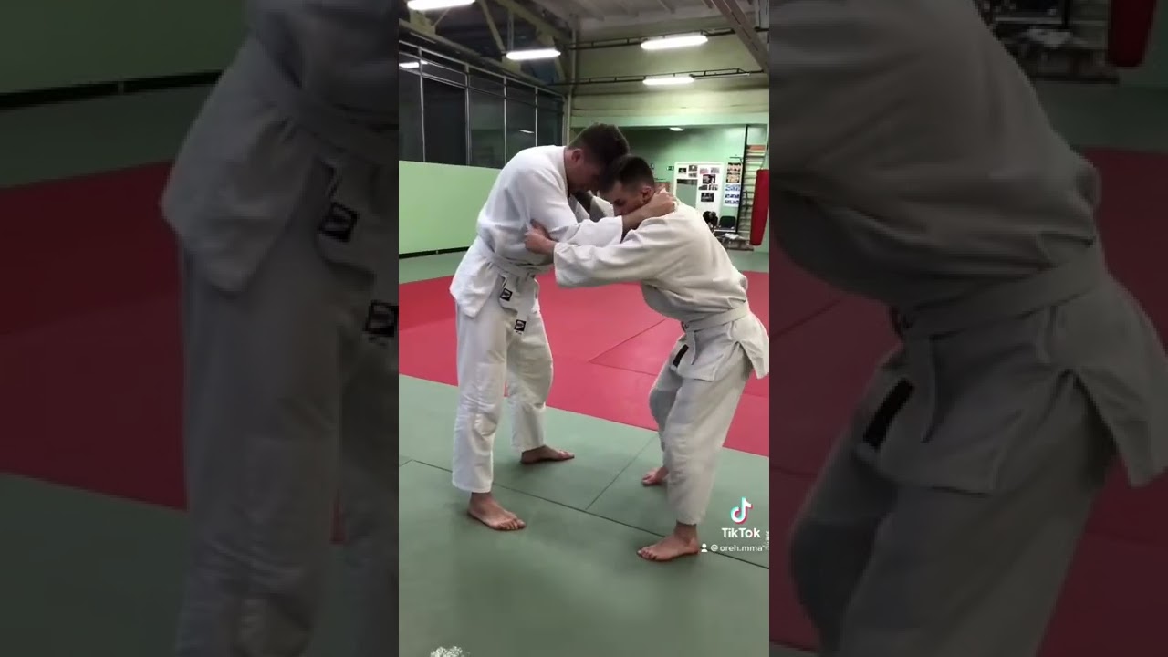 задняя подножка в дзюдо