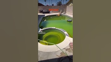 swimming pool and algae cleaning
