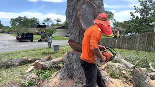 5 Man Crew Wrapping Up Large Oak Tree Removal (Central Florida)