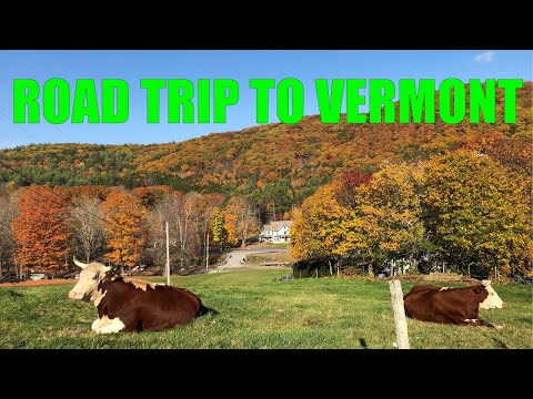 Road Trip to Vermont! [ENG CC]