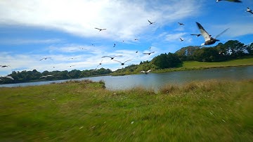 Gopro Hero 8 Hypersmooth 2.0 Test - FPV