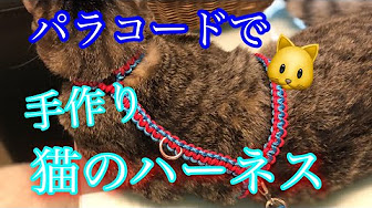 Nan Nan Back Undefined Skip Navigation Search Search Sign In Undefined Play All パラコードハンドメイドmorie 81 Videos 1 8 Views Last Updated On Mar 16 21 オーダーメイドでご注文頂いた犬 猫の首輪やリードの作り方を基本にももさんの