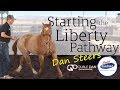 Starting the Liberty Pathway - Double Dan Horsemanship