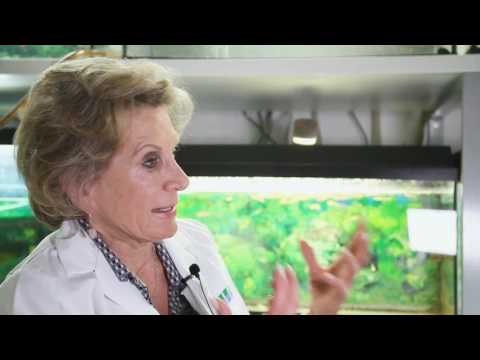 Video: Kemoterapija In Izpadanje Las: Določanje časa, Nasveti Za Preprečevanje In še Več