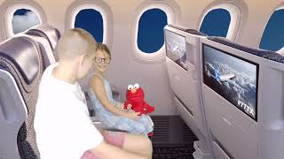 The Hawaiian Vacation