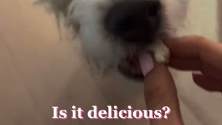 Blackpink Rosé Weverse English Sub 230726