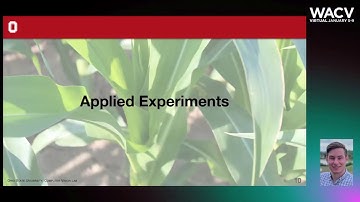 191 - Confidence-Driven Hierarchical Classification of Cultivated Plant Stresses