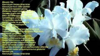 Bi̇tti̇ Sana Olan Ölümsüz Aşk