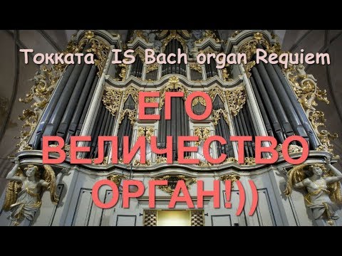 Видео: Потрясающая музыка!! И С  Бах. Орган. Токката/  I.S. Bach Organ Requiem