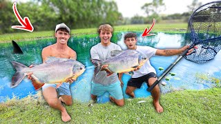 STEALING $10,000 WORTH OF FISH FROM BACKYARD POND!?!