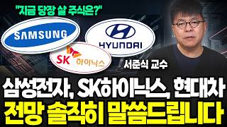 "현재 가장 저평가 된 대형주" 삼성전자, 하이닉스, 현대차 전망 솔직히 말씀드립니다 (서준식 교수 / 3부)