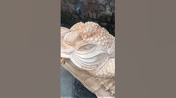 🔊❤️ Thiềm thừ chiêu tài lộc gỗ ngọc am thơm nức 🥰❤️