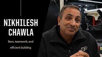 Purdue Expert: How beehives can teach us to build better