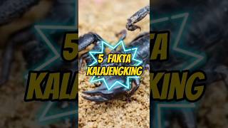 Tak Hanya Beracun! 5 Fakta Hebat Kalajengking #fakta #faktamenarik #faktaunik #videoshorts