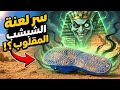 ليه بنعدل الشبشب المقلوب سر فرعوني من آلاف السنين