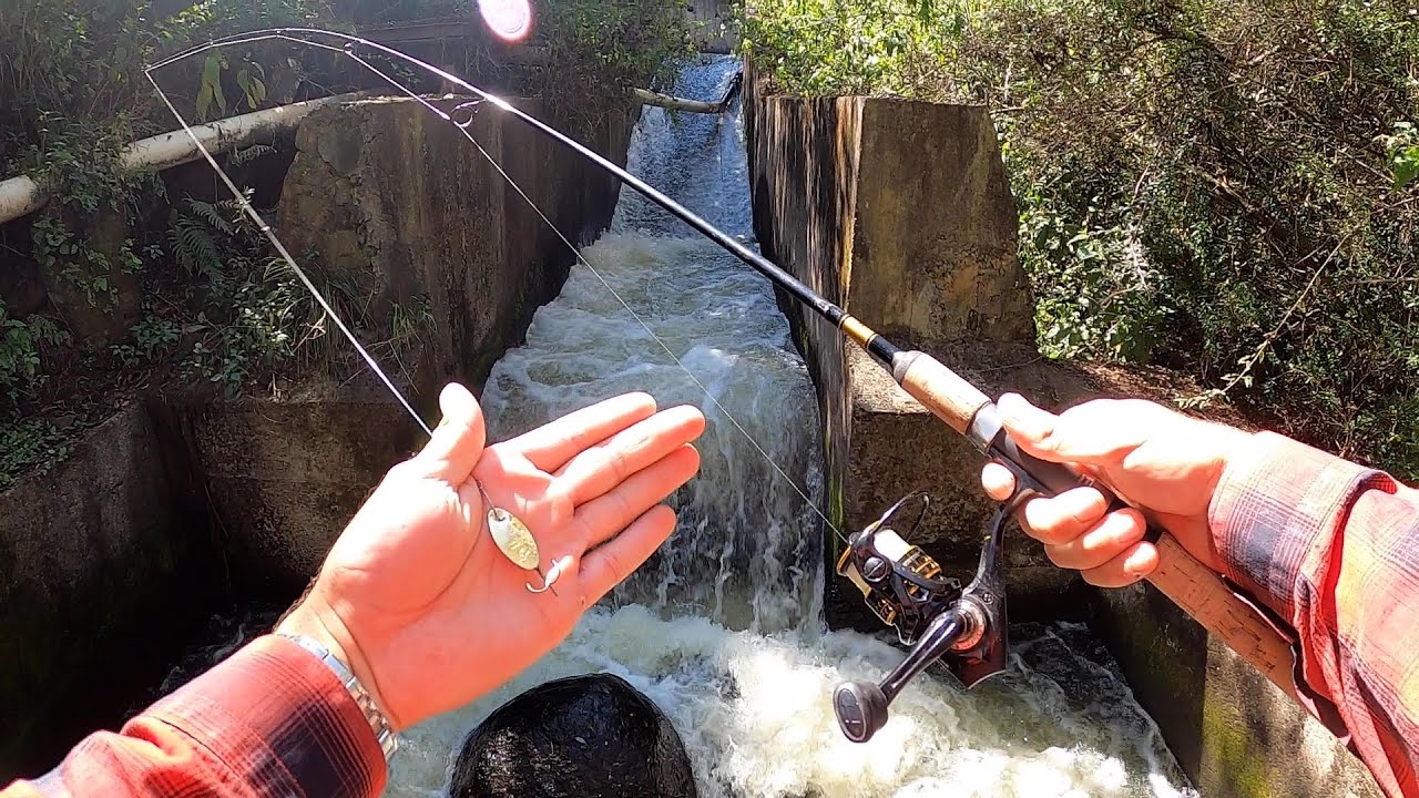 Pescando y Explorando RÍO SECRETO!!