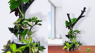 Indoor Plants Grow and Decorate Only in Water | Water Garden for Indoor Balcony Home//GREEN PLANTS