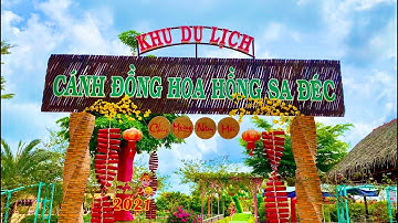 Cánh đồng hoa hồng Sa Đéc 2021
