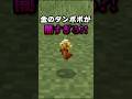 【マイクラ最新アイテム 金のタンポポが闇すぎる⁉️】 #shorts #minecraft #マインクラフト #マイクラ #vtuber