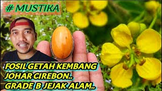 Natural Mustika Kembang Johar Ring Stone, Original Cirebon.