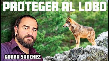 LUCHAR CONTRA EL ODIO AL LOBO - GORKA SANCHEZ @LaikasSombrasdeUdun