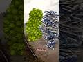 Satisfying video special effects #shorts #satisfyingvideo #specialeffects #3danimation #satisfying
