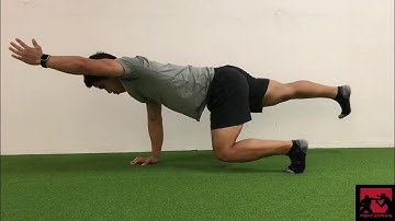 Quadruped Hover + Birddog