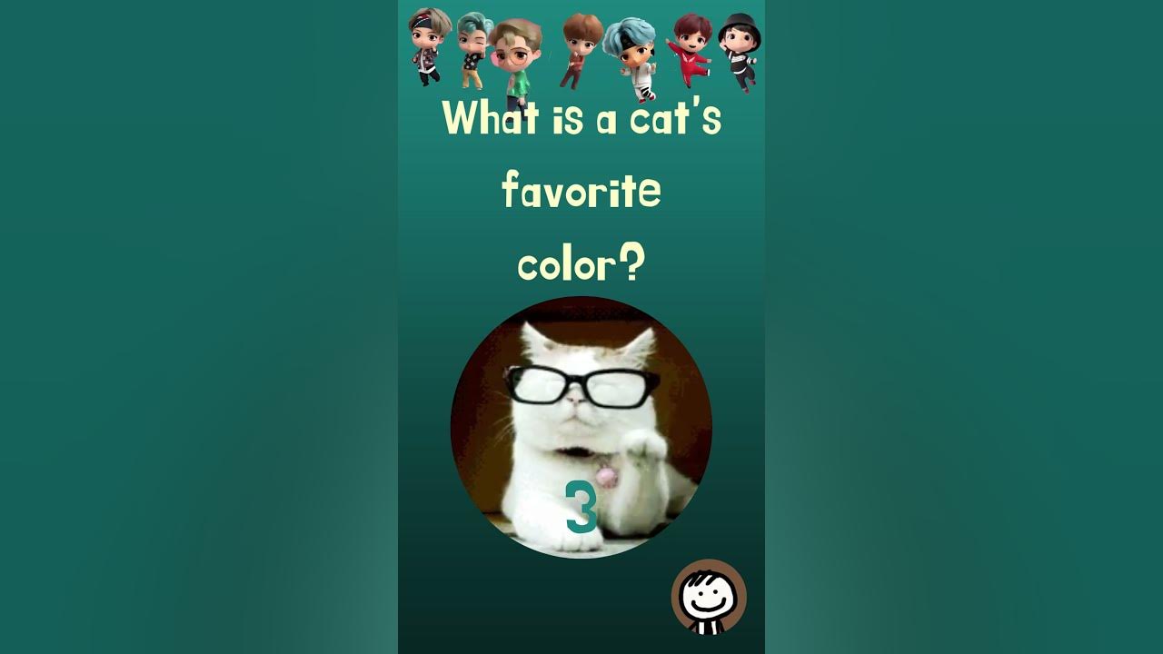 What is a cat's favorite color? YouTube