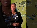TMA YATOA ANGALIZO LA MVUA KUBWA KATIKA BAADHI YA MAENEO YA VISIWA VYA UNGUJA NA PEMBA TMA YATOA ANGALIZO LA MVUA KUBWA KATIKA BAADHI YA MAENEO YA VISIWA VYA UNGUJA NA PEMBA