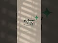تفاصيل غرق العبّارة في دير الزور