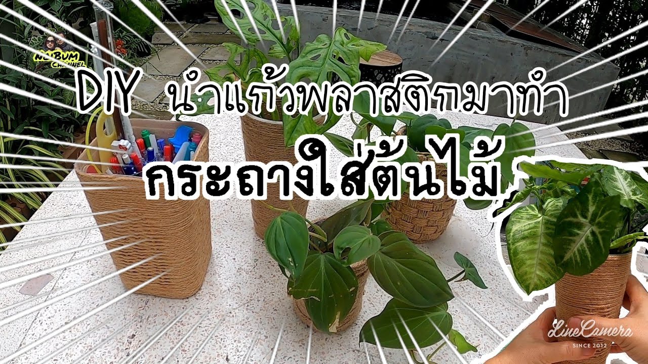 กระถางแก้วปลูกต้นไม้ทำจาก