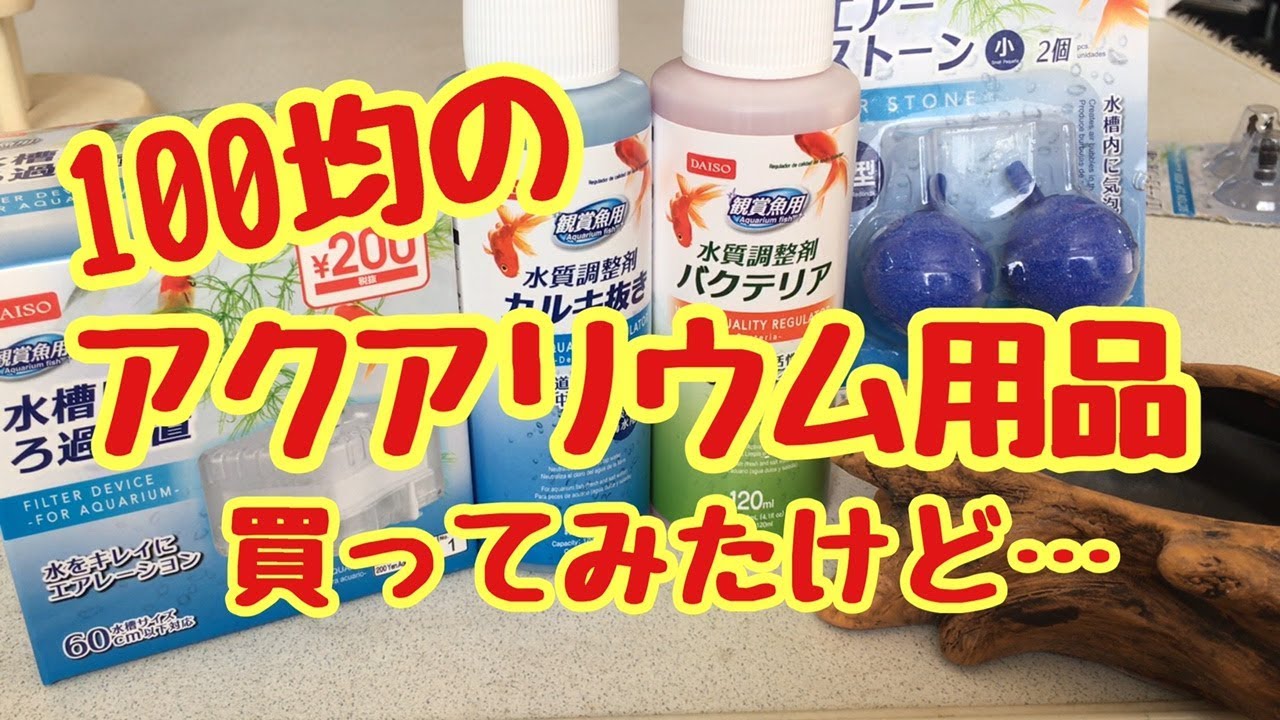 100均 アクア用品買ってみたけど Youtube