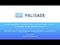 Unlocking Privacy: Multiparty Homomorphic Encryption Explained 🔐 - PALISADE Webinar #4
