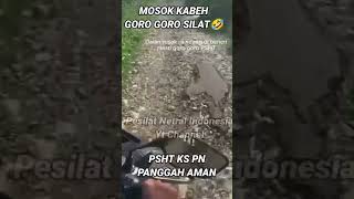 Kabeh Gro Silat Cak Dalane Boss Psht Ks Pn Amanpsht ikspi pagarnusa