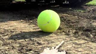 Wimbledon?? Nah, Let's Crush It! (Tank Crushes Giant Tennis Ball) - letscrushit.com