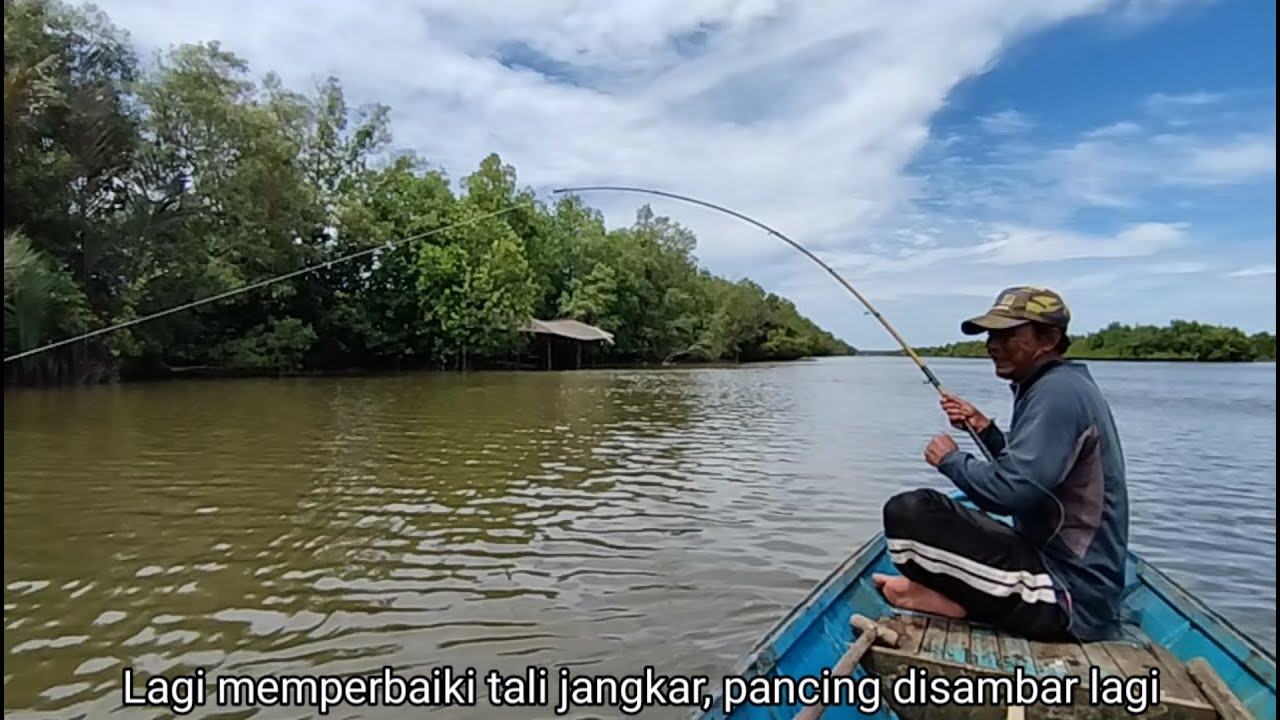 Satu spot dihuni ikan Barramundi,Kerapu, Trakulu dan kakap Tompel besar