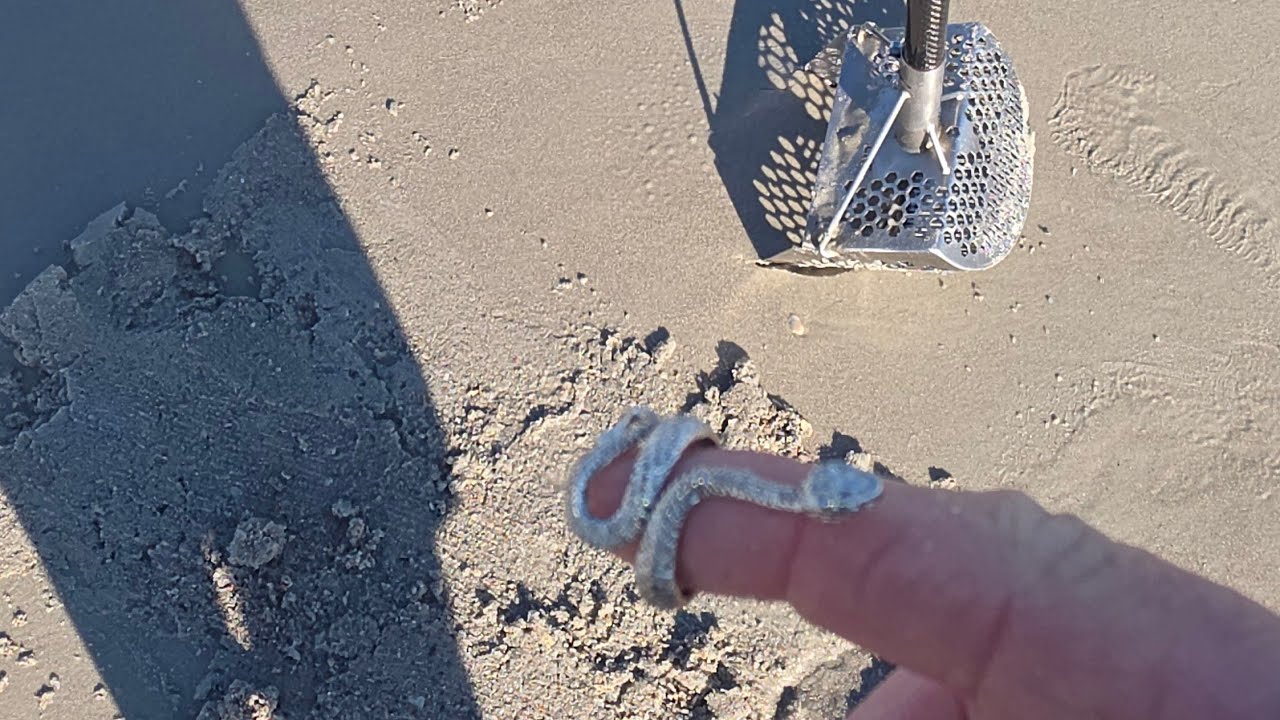 Beach Metal Detecting mid December hunt with the Manticore 